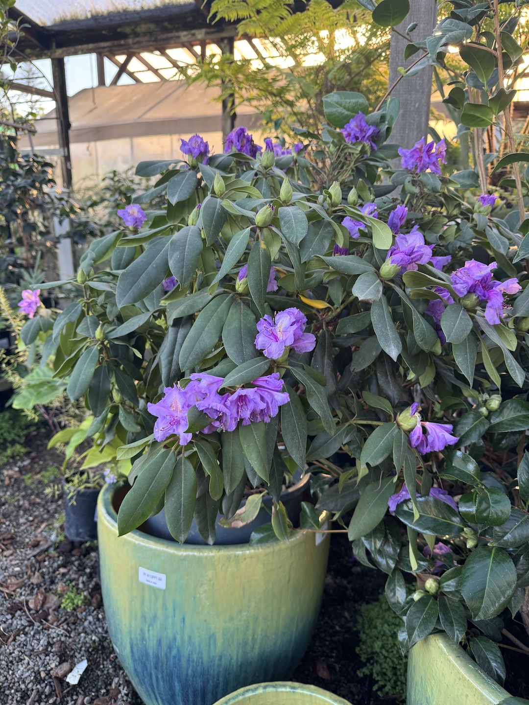 Black_Friday_Weekend_Garden_Sale_Fairfax_Lumber_and_Hardware_webbanner